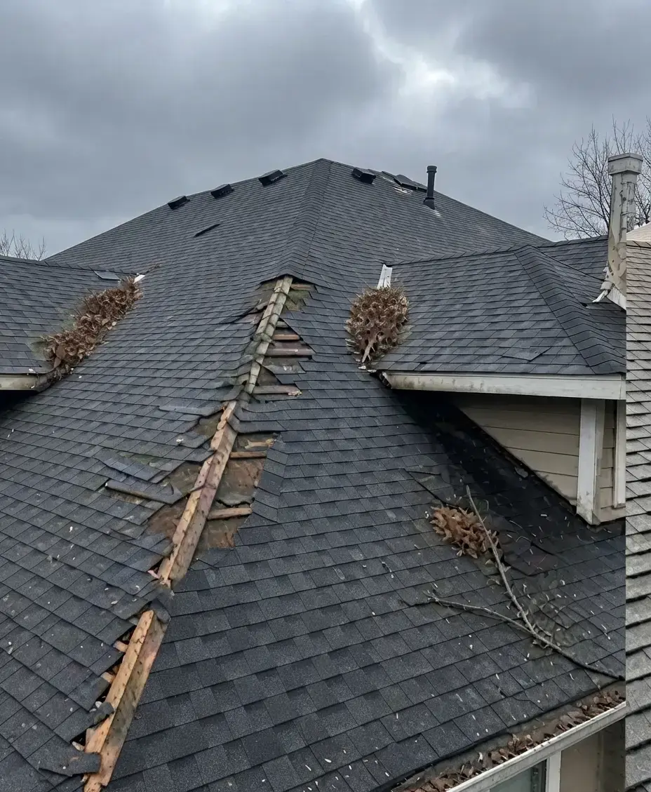 Before Roof Stripped