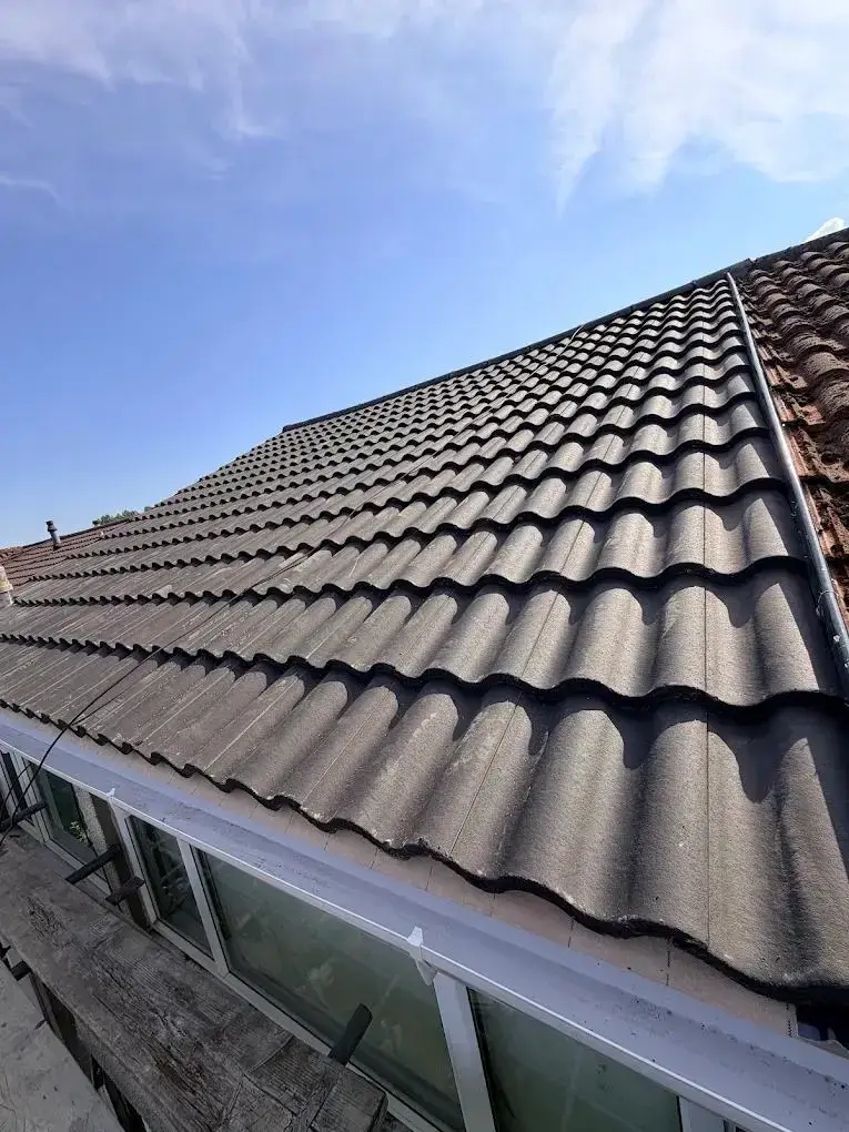 Professional Roofing Services